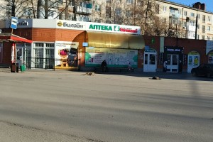 Бродячие собаки