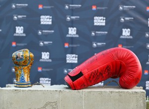 Открытие центра бокса перенесли на 12 июня