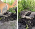 «Черные ассенизаторы» разгневали властей Городца