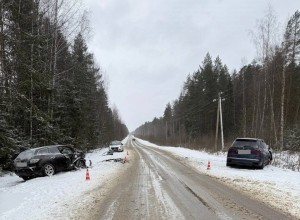 В Городецком округе произошло ДТП 