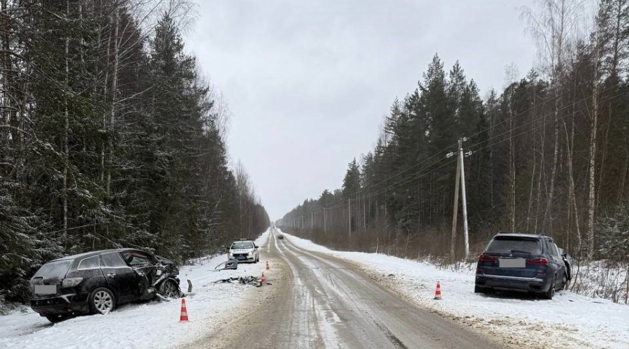 В Городецком округе произошло ДТП